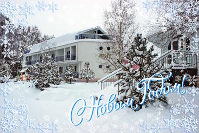 Новый год 2026