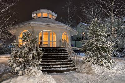 Новый год 2026