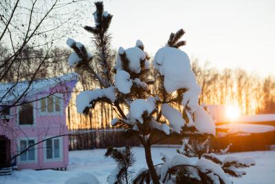 Зима в Корабле