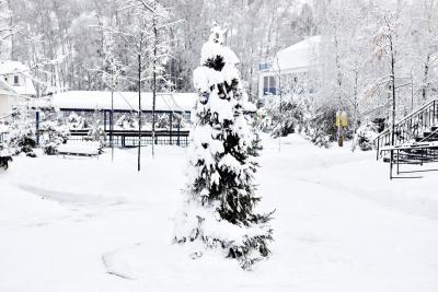 Зима в Корабле