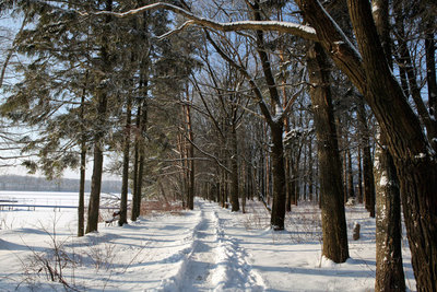 Зима в Корабле