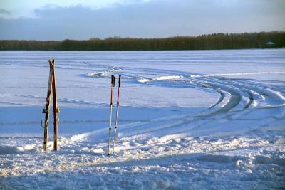 Активности